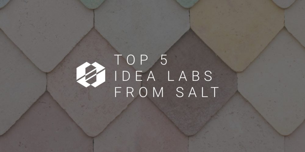 salt-top-idea-labs