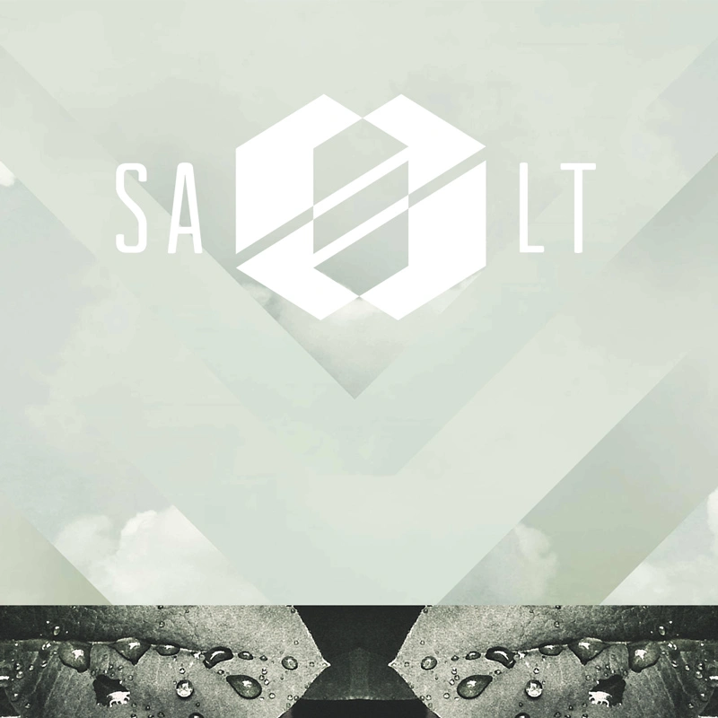 Instagram-Images-SALT18